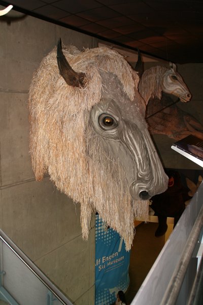 Trip (15).JPG - Buffalo wall hanging at Utah Olympic Park